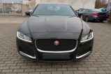 JAGUAR XF (1)