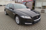 JAGUAR XF (2)